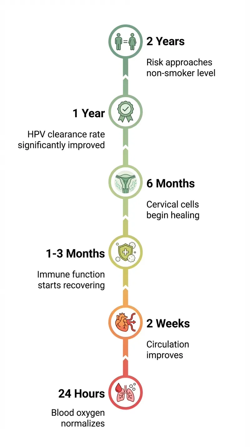 Tijdlijn gezondheidsvoordelen na stoppen met roken: van 24 uur tot 2 jaar herstel voor HPV-patiënten